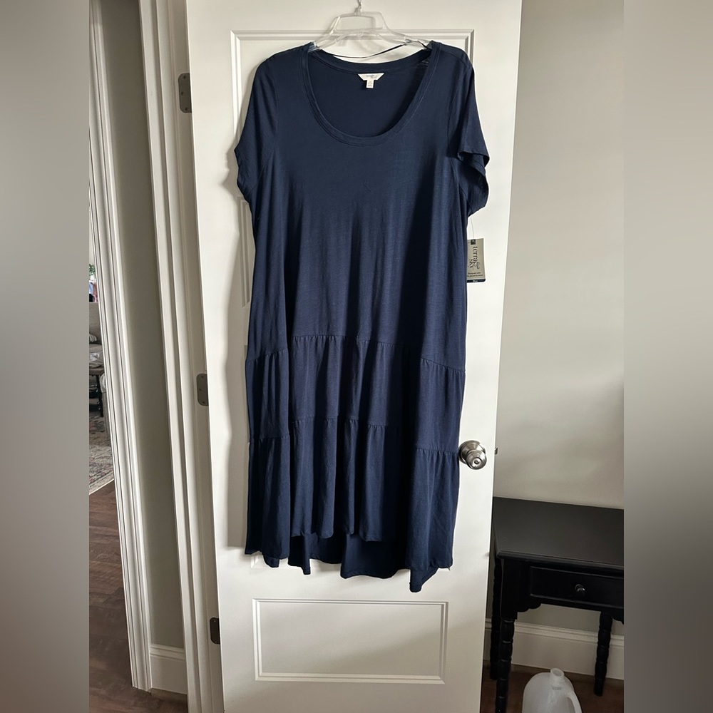 Terra & Sky Navy Dress NWT